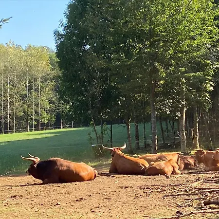 O Casal Arbores Santiago de Compostela