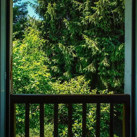 O Casal Arbores * Santiago de Compostela